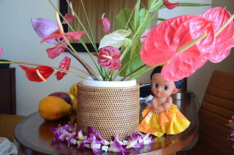 Hawaii photo