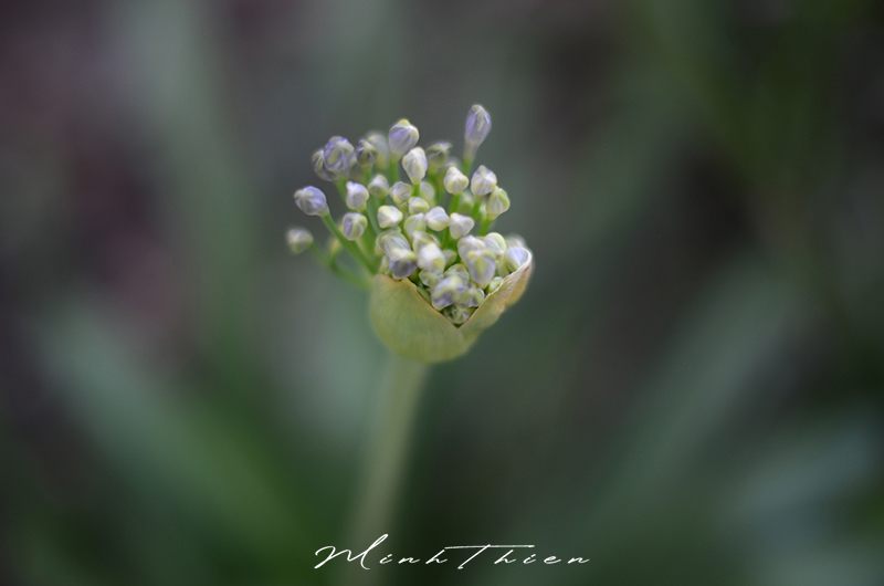 Close-up photo album